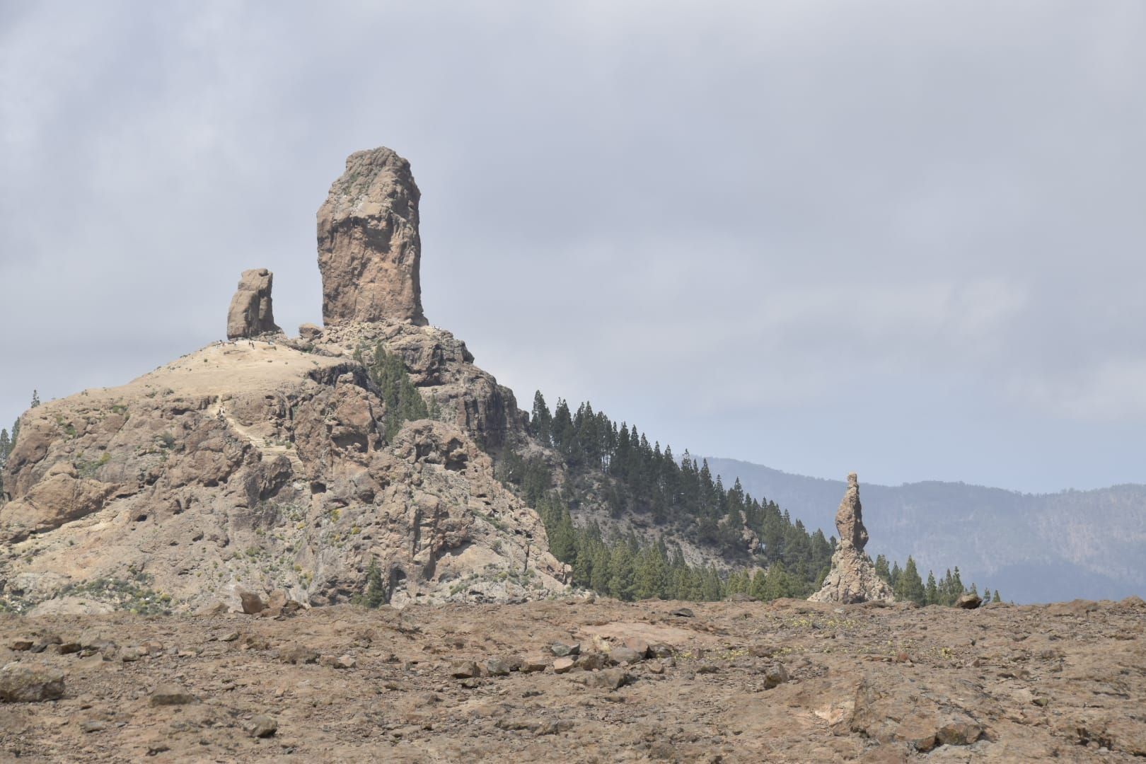 La primavera en Gran Canaria