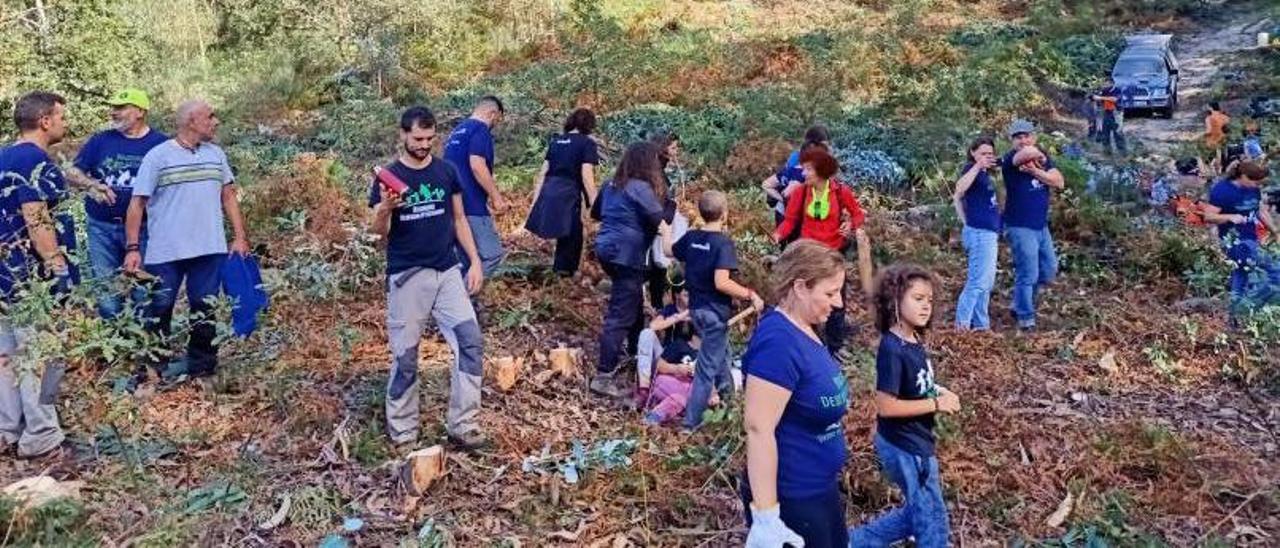 Los voluntarios limpiaron más de una hectárea de eucalipto.   | C.M. MEIRA