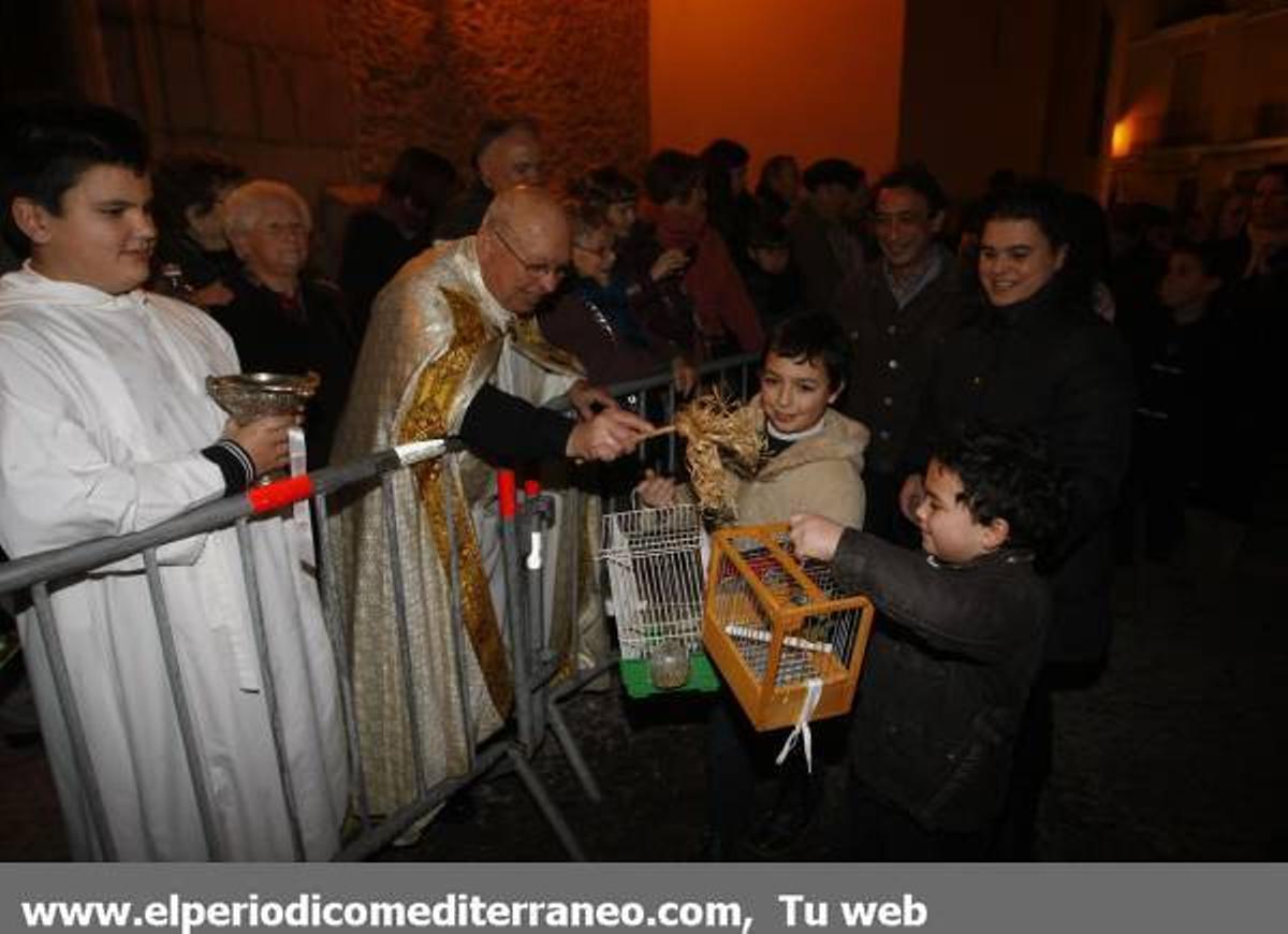 GALERÍA DE FOTOS - Matxa de Sant Antoni Alamassora