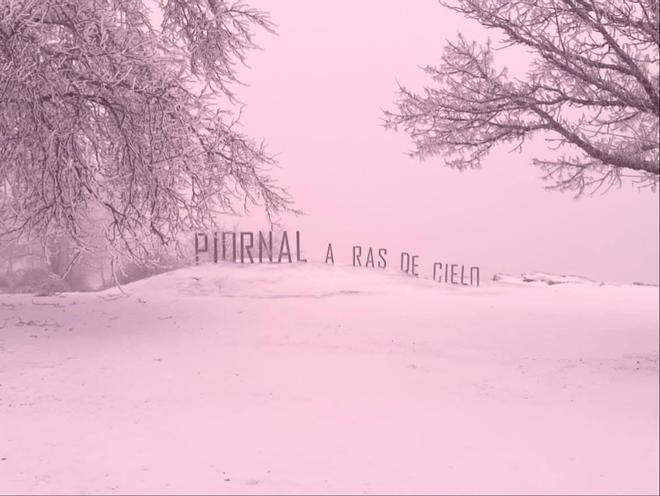 Piornal, bajo la nieve: una estampa preciosa