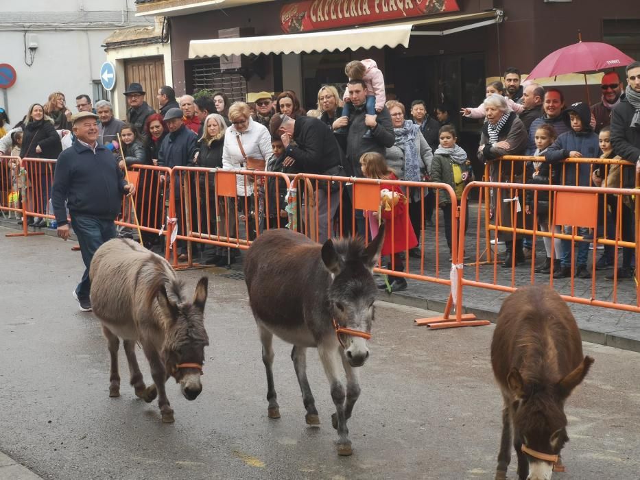 Bendición de animales en Xirivella.