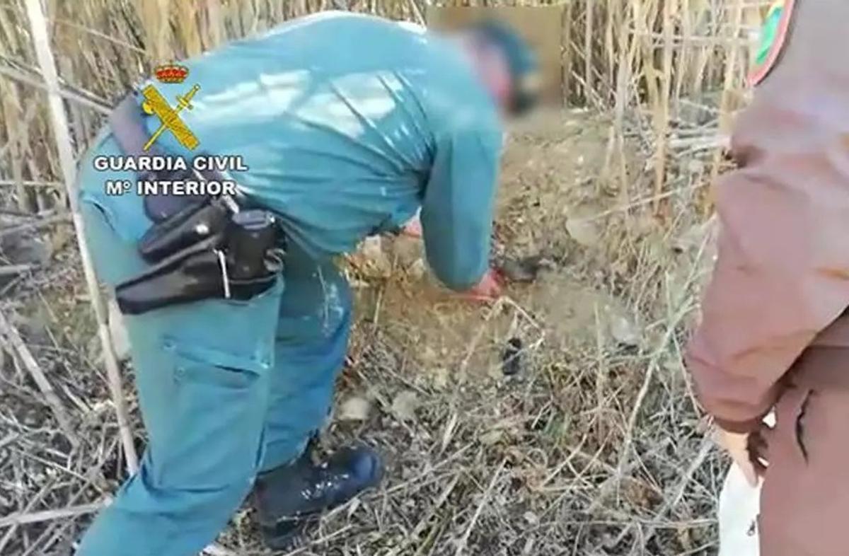 Un agente inspecciona una trampa para pájaros, en una imagen de archivo.