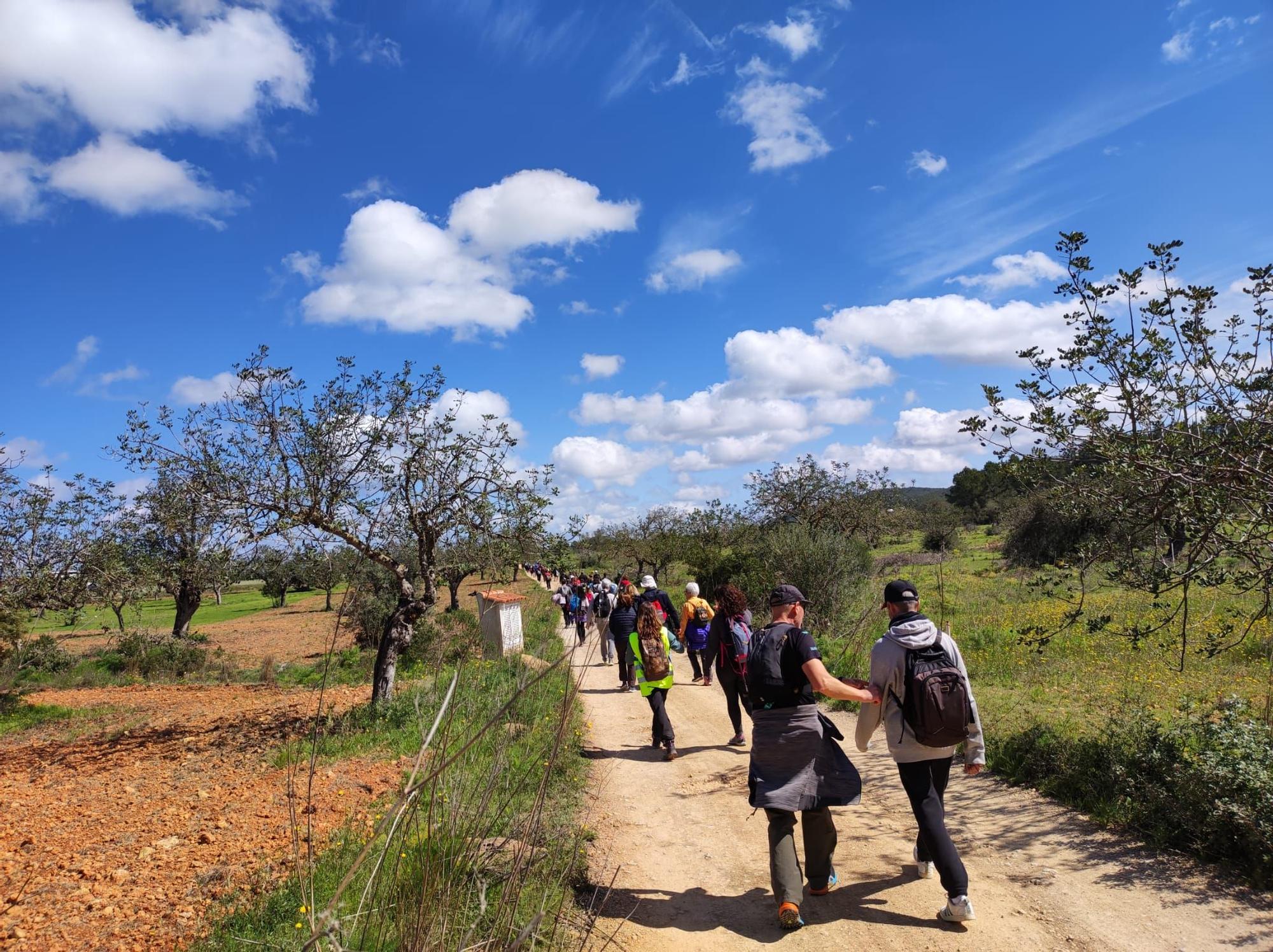 Reivindicación de los caminos públicos de Ibiza