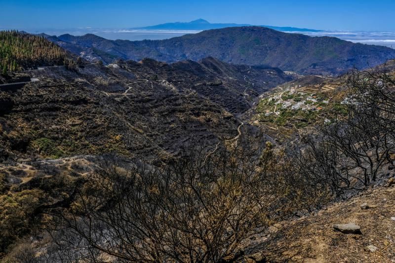 Consecuencias del incendio: De Valleseco a Artenar