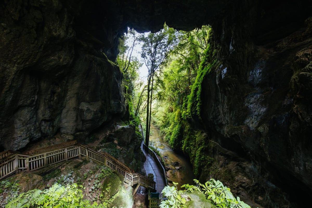 Puente natural de Mangapohue, en la zona de las cuevas de Waitomo, Nueva Zelanda