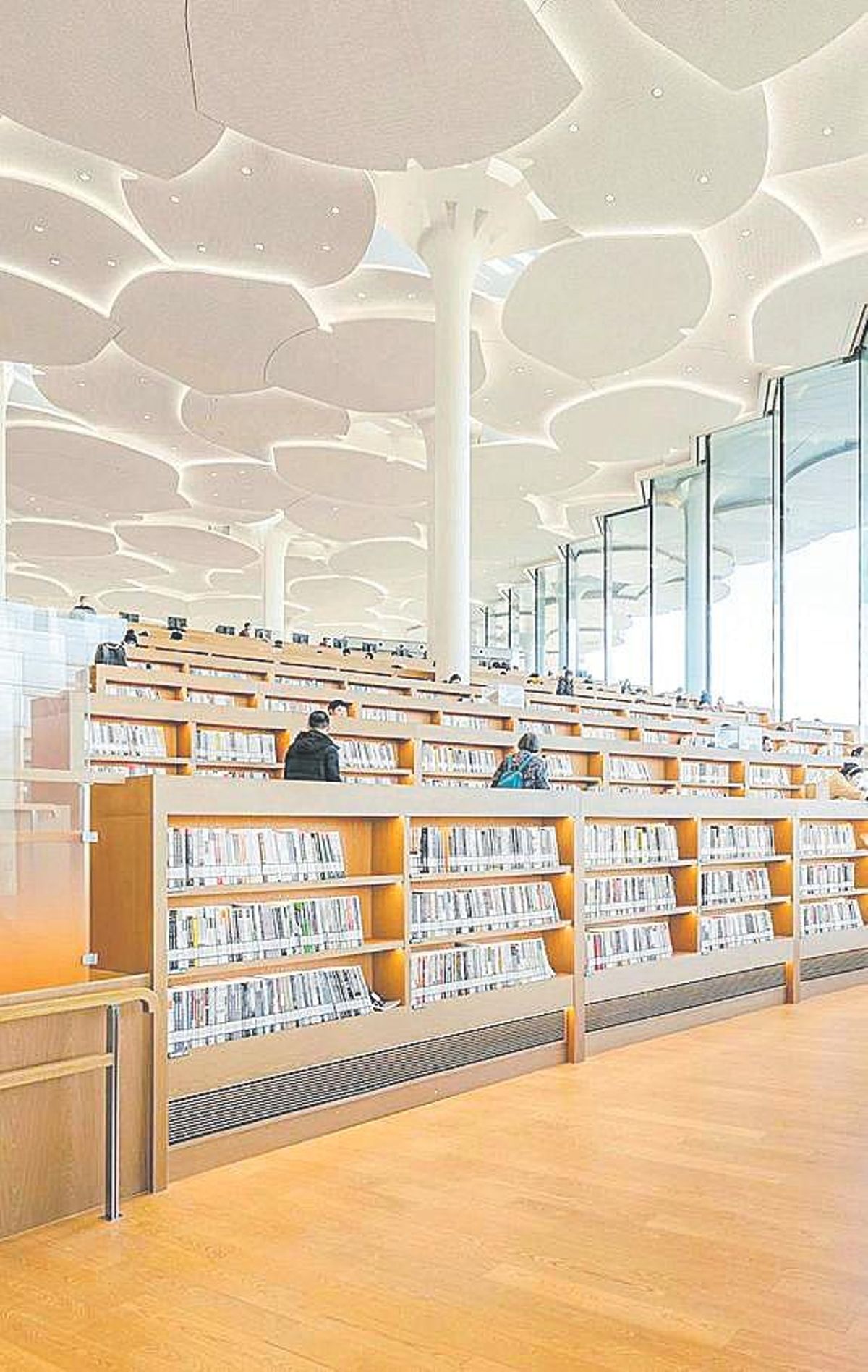 La Biblioteca de Pekín: un homenaje al acto de leer