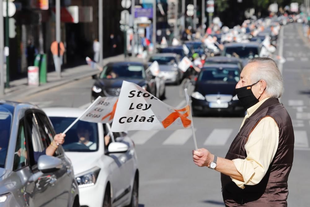 Miles de murcianos protestan en las calles contra la ley Celaá