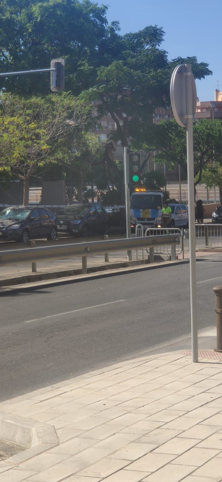 La rama de un árbol se desploma cerca del parque de San Blas, en Alicante