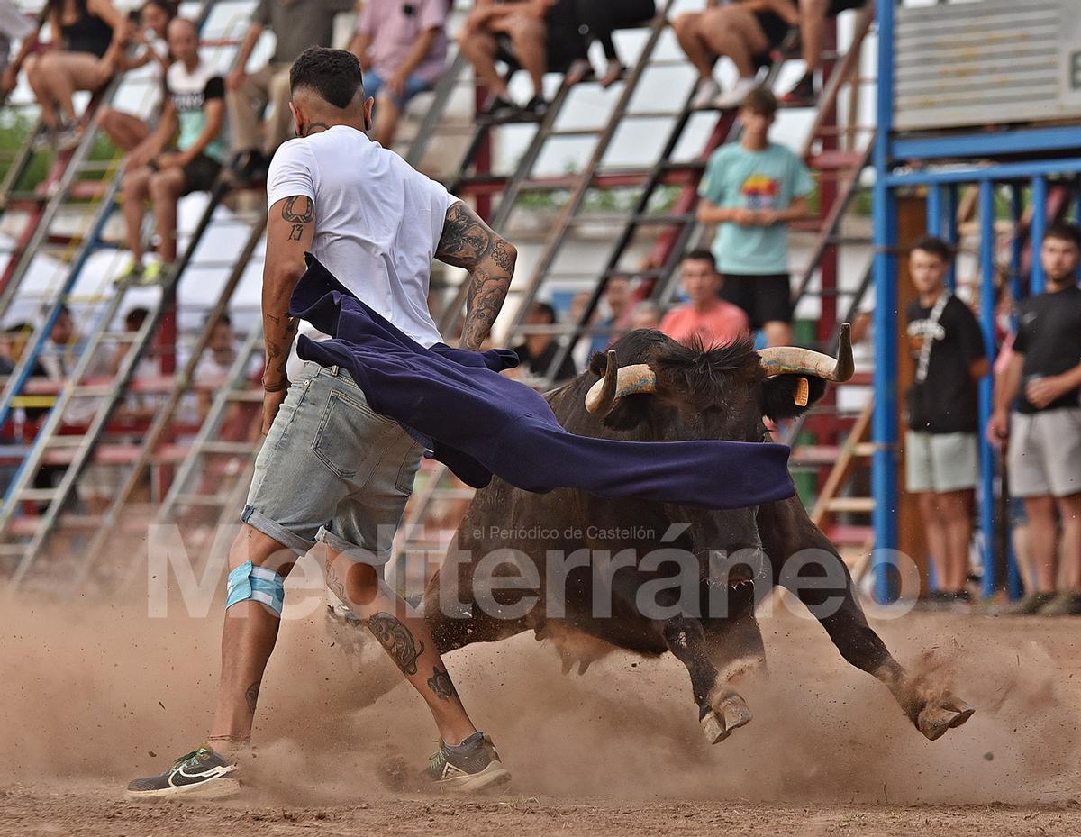 Bous a Les Alqueries 2025