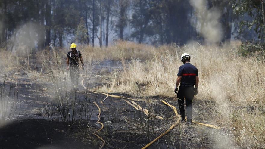 El SEIS trabaja en la extinción de un fuego de pastos cerca de la antigua estación de tren de Fernán Núñez