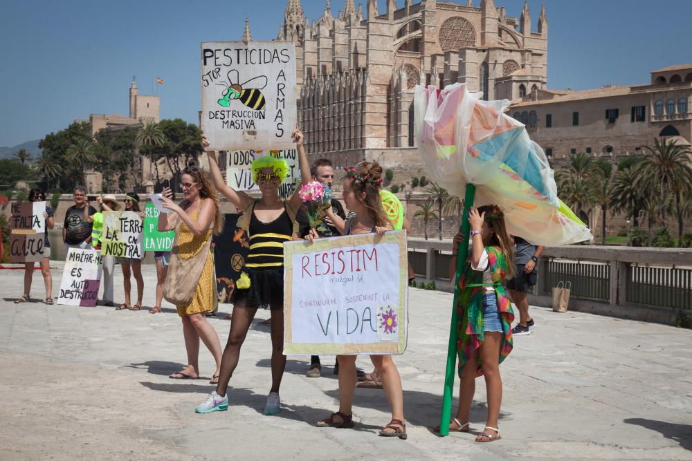 Corte de carretera en Palma contra el cambio climático