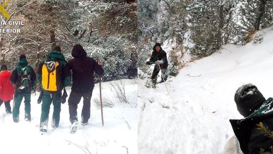 La Guàrdia Civil rescata un gos de caça després de caure en un barranc