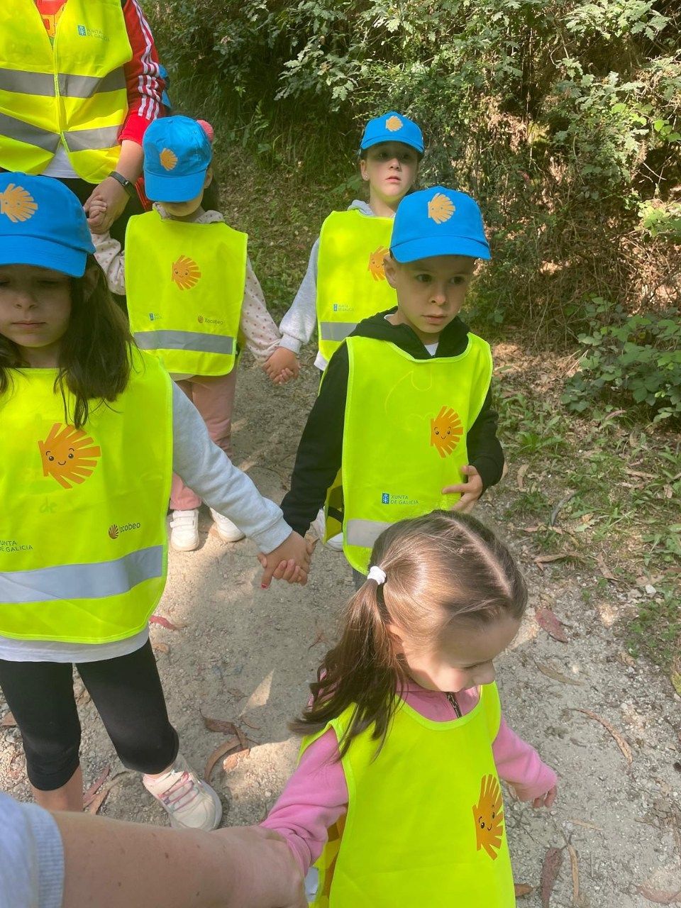 La peregrinación de los niños del CRA de Valga por el Camiño Portugués.