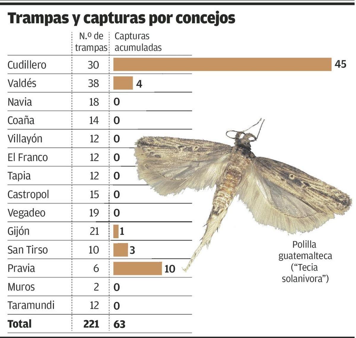Más de 200 trampas de polilla de la patata detectarán si la plaga se frena este verano