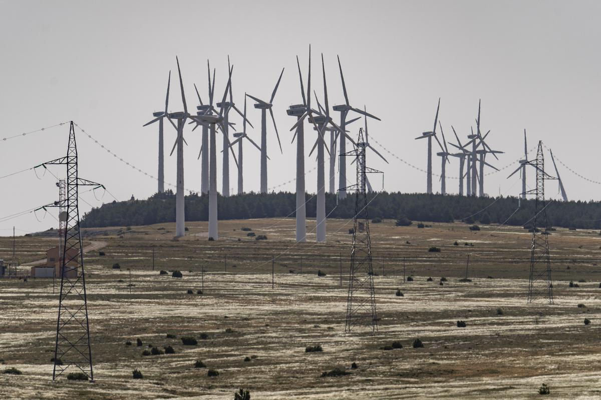 15 dies amb l’excepció ibèrica: la rebaixa ronda l’11% de la factura