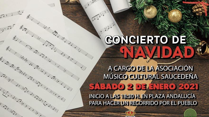 Concierto de navidad