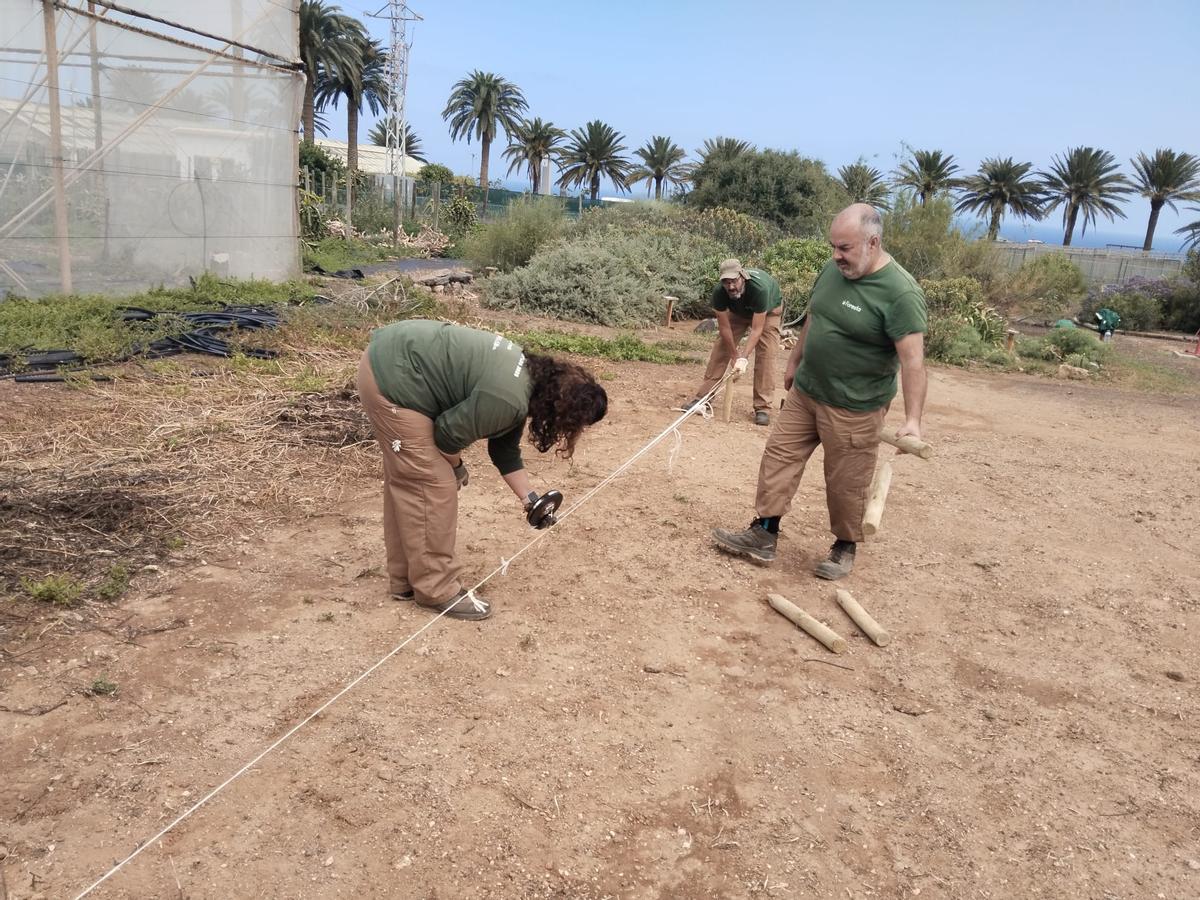 El Cabildo y Foresta forman a nueve personas en jardinería para impulsar el empleo verde en Gran Canaria