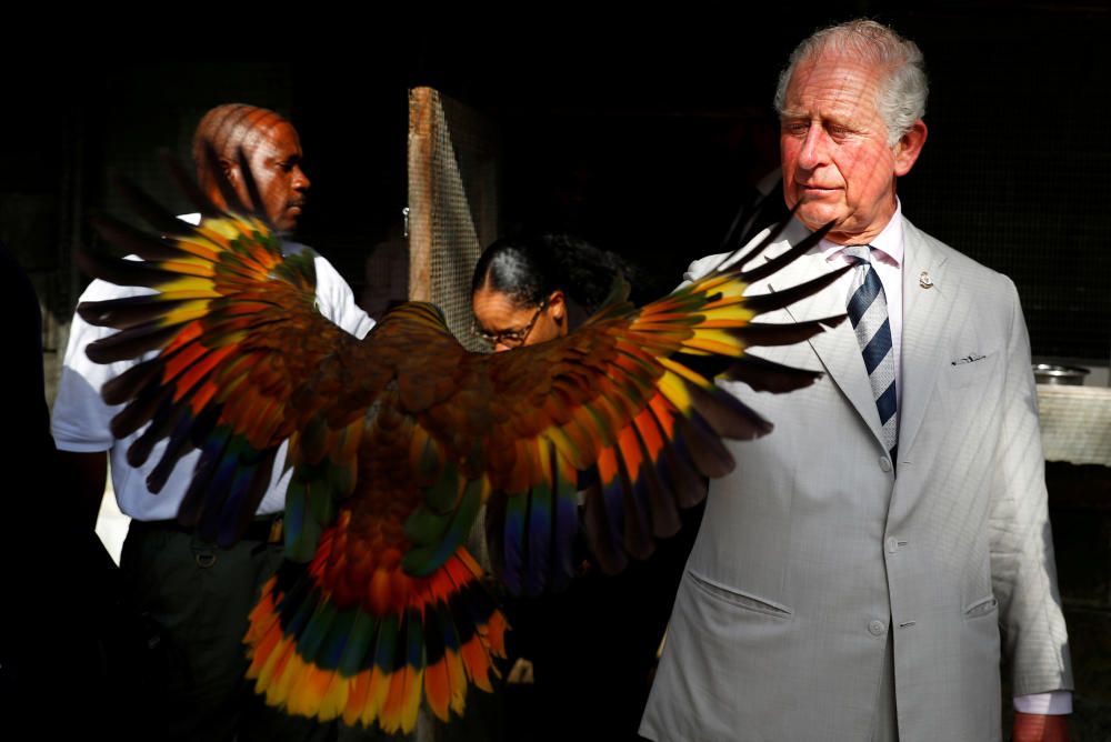 Britain's Prince Charles and Camilla, Duchess of ...