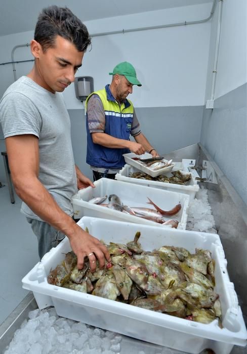 Jornada Conociendo la acuicultura de Gran Canaria