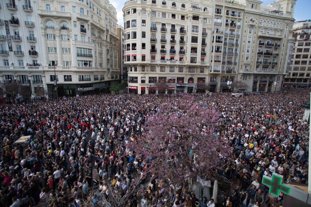 Balcón de las Fallas 2020 de Levante-EMV del día 1 de marzo