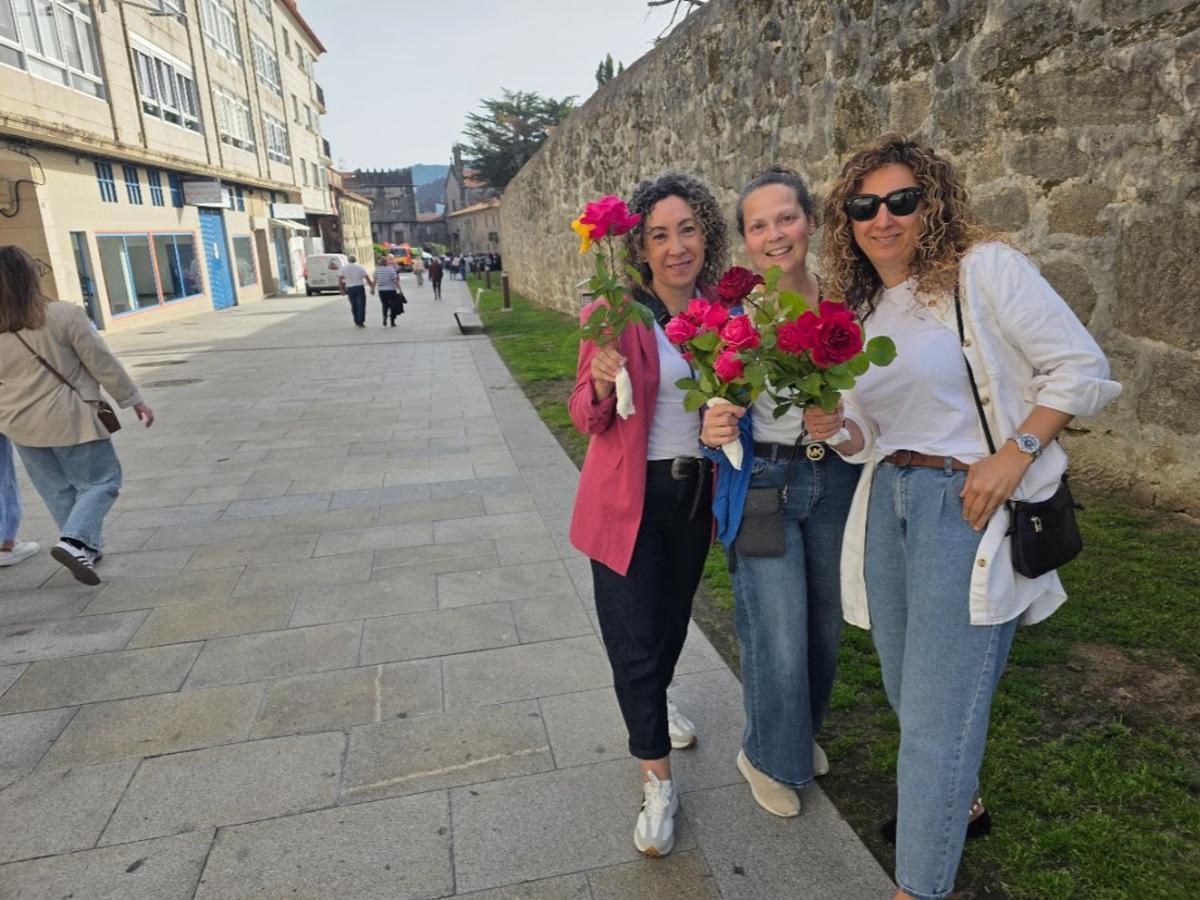 Ls rosas son uno de los símbolos representativos de Santa Rita.