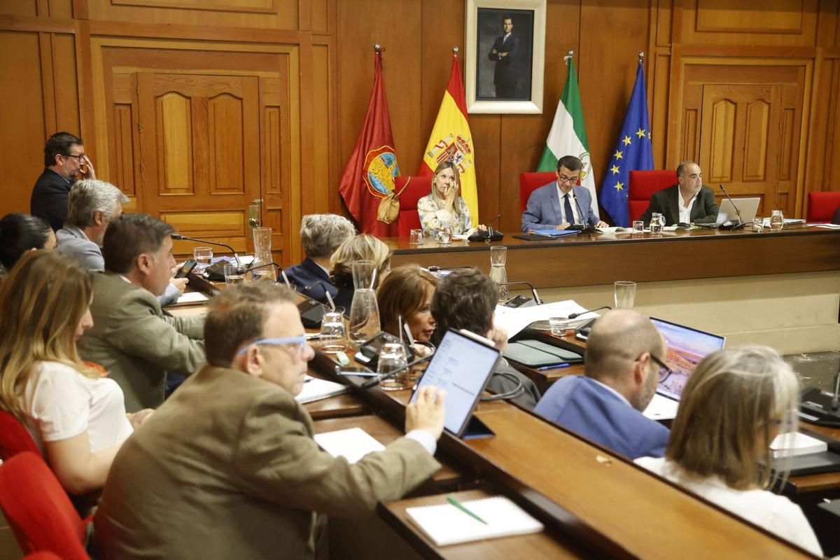 A.J.González Córdoba Pleno del Ayuntamiento del mes de Junio