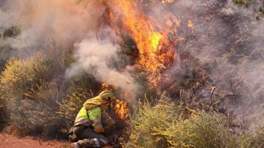 Segorbe pide tener parcelas limpias para evitar incendios