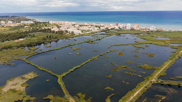 Prat de Cabanes-Torreblanca con 850 hectáreas de superficie.