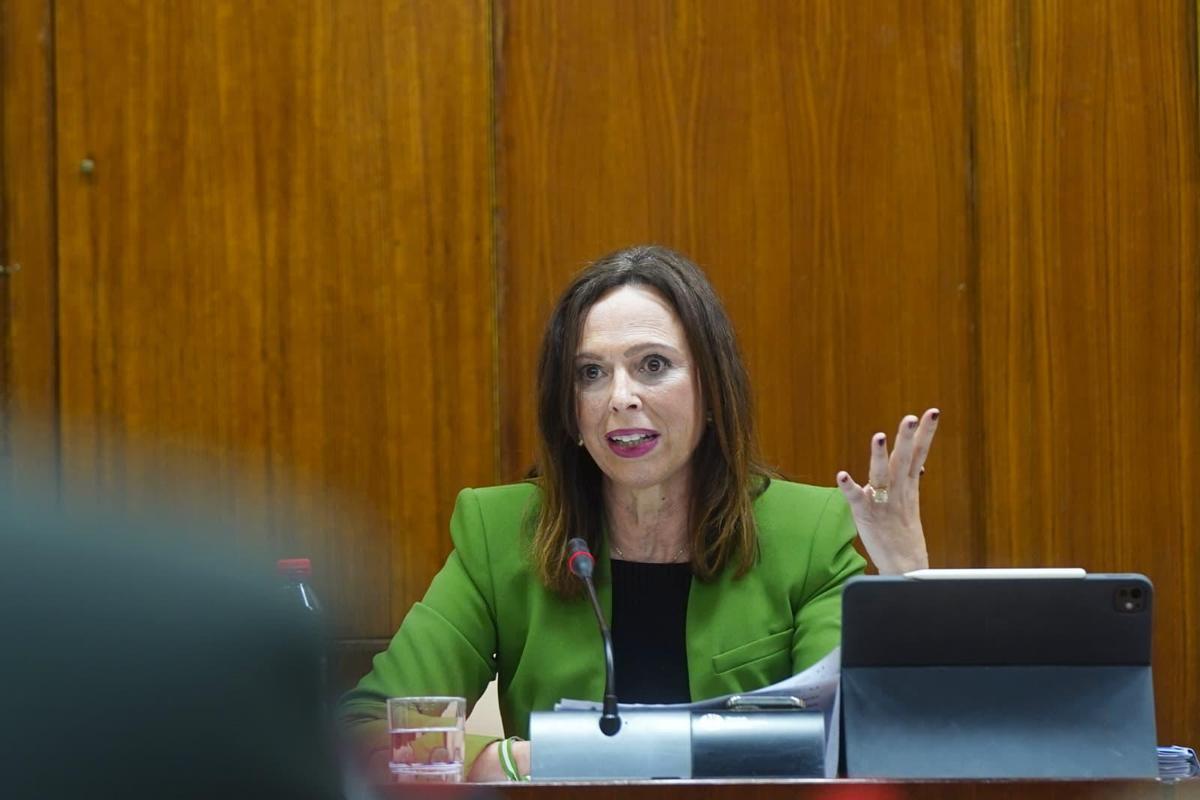 La Junta de Andalucía reforzará la señalización y las medidas de calmado de tráfico en la A-318 entre Lucena y Cabra.