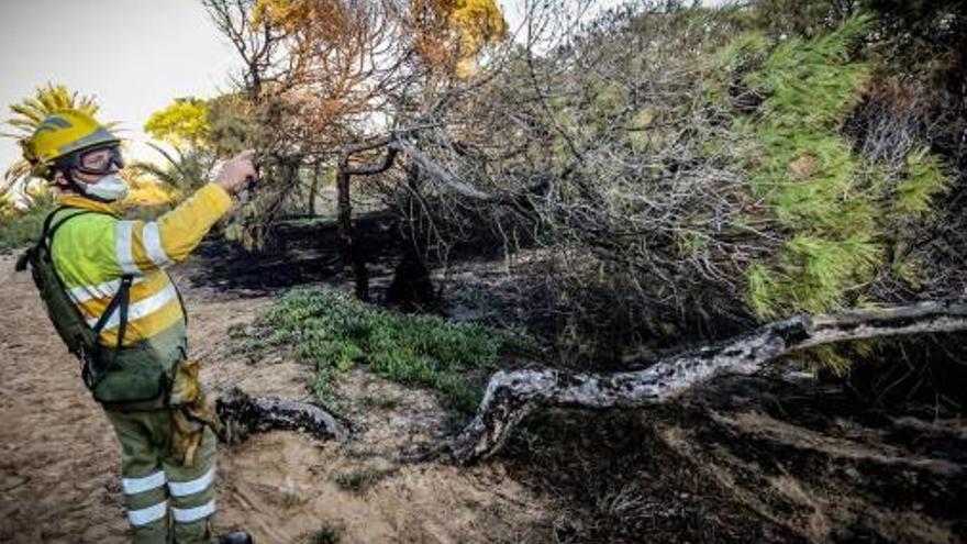 Extinción de uno de los incendios registrados en Guardamar.