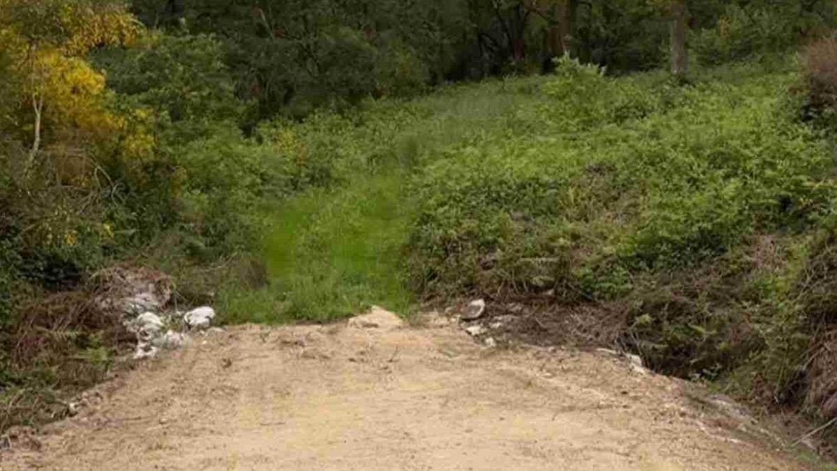 Obras de mejora paralizadas en un camino de la parcelaria de Rodeiro.
