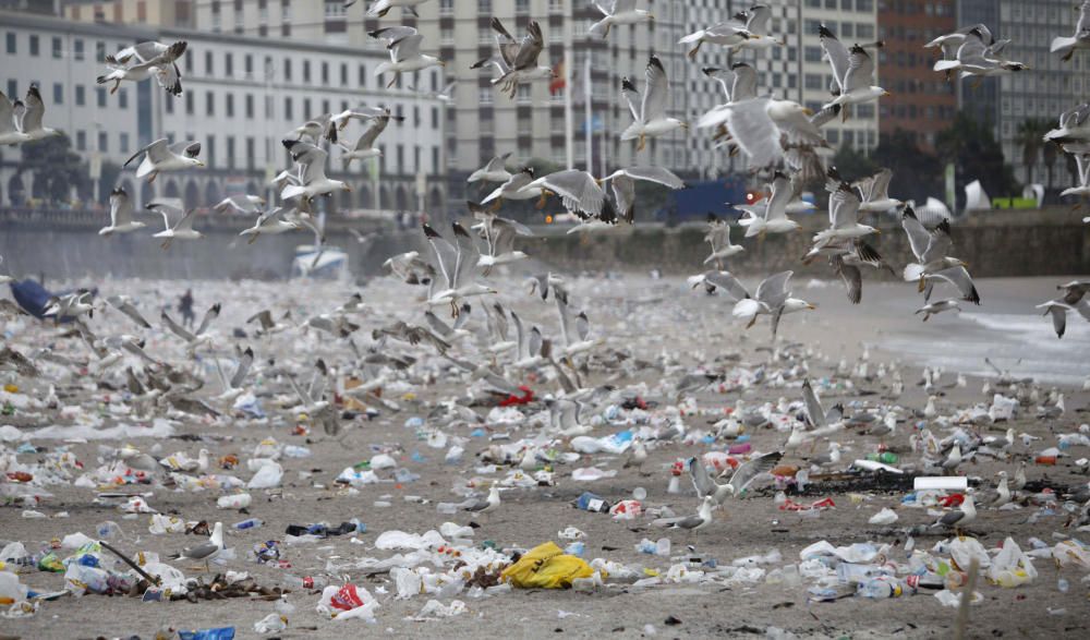 Así estaban las playas de A Coruña a la mañana sig