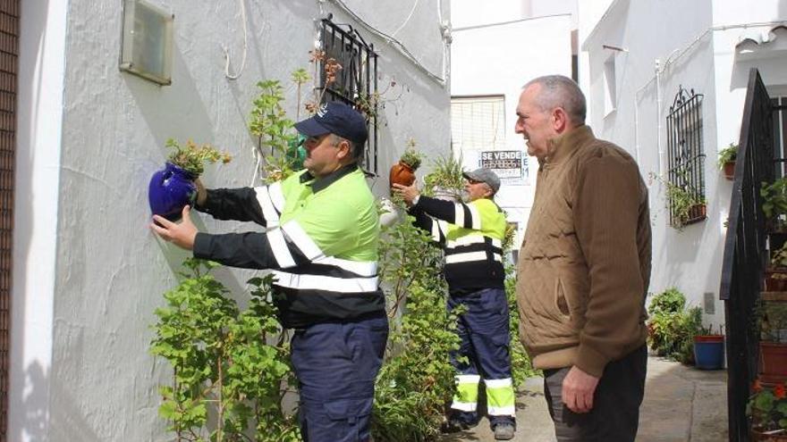 El alcalde, José Carrasco, supervisa la instalación de macetas.