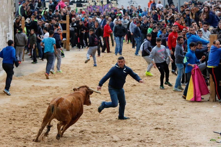 Encierros en Morales del Vino