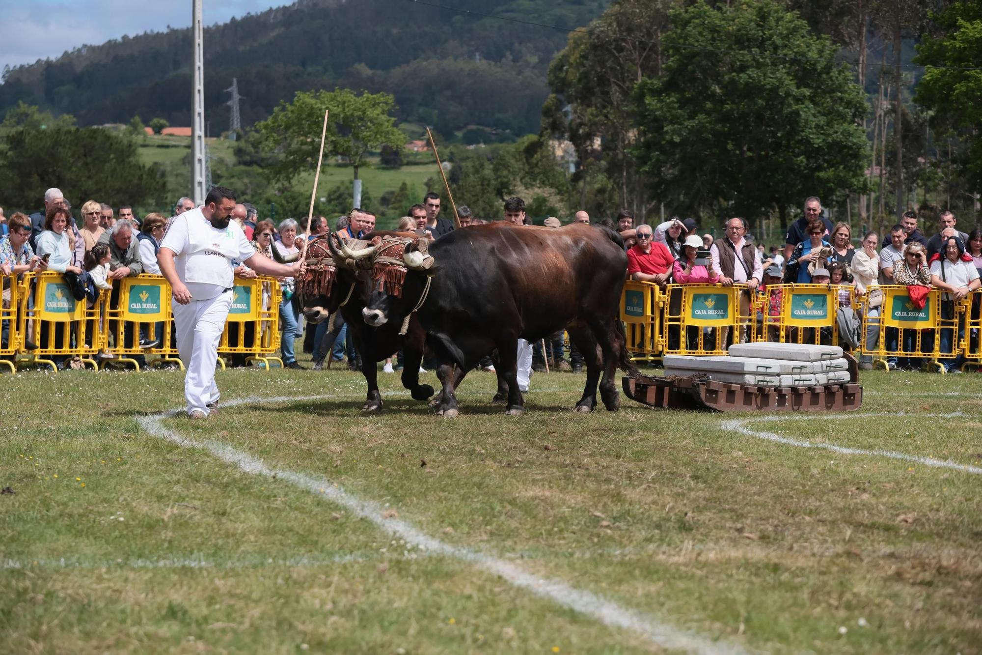 Llanera clausura por todo lo alto la Feria de San Isidro