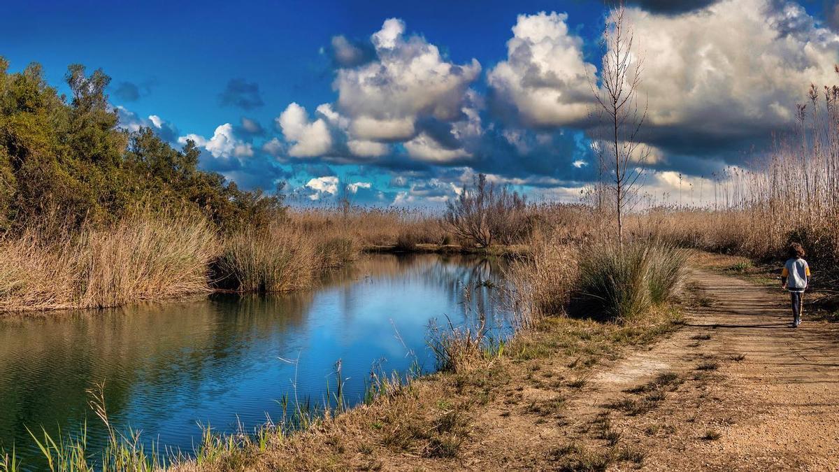 Una imagen del parque natural del Marjal de Pego-Oliva.
