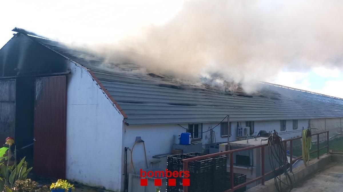 Imagen de la nave afectada por el incendio, este martes en La Selva del Camp (Baix Camp).