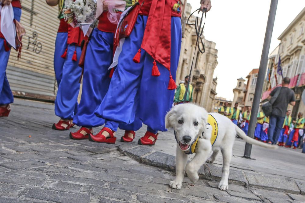 Desfile de abanderadas, ofrenda floral y procesión