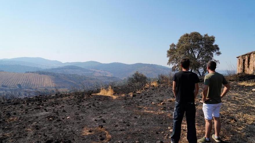 Calatraveño, aspecto de la zona tras el incendio