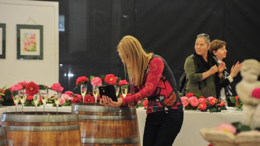 La Mostra da Camelia de Cambados reúne más de 300 variedades de flor