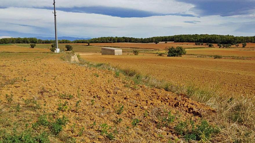 Una imatge dels terrenys on ha d&#039;anar la zona industrial de Bàscara.