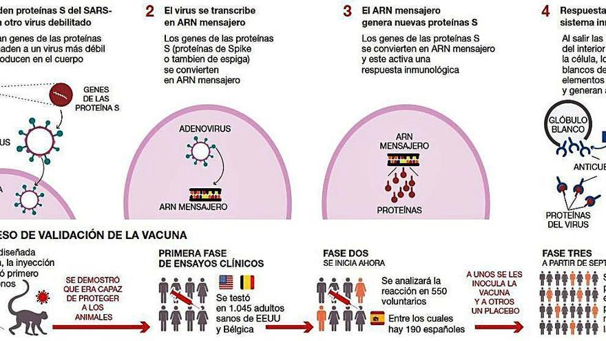 España autoriza el ensayo clínico de  una vacuna anticovid en voluntarios