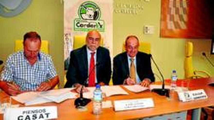 Corderex renueva con Casat su convenio de colaboración anual