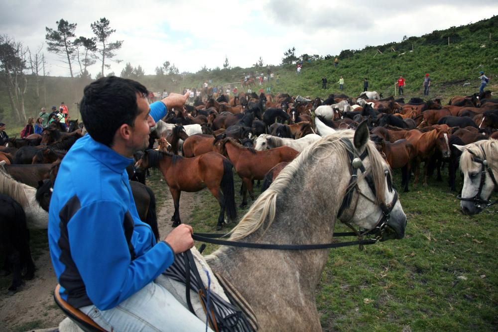 Diferentes grupos de personas fueron tratando de reunir a los caballos de los montes vecinos y conducirlos hasta O Peón