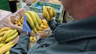 Banana por Plátano de Canarias: destapan en Alicante un fraude de casi 2.000 toneladas