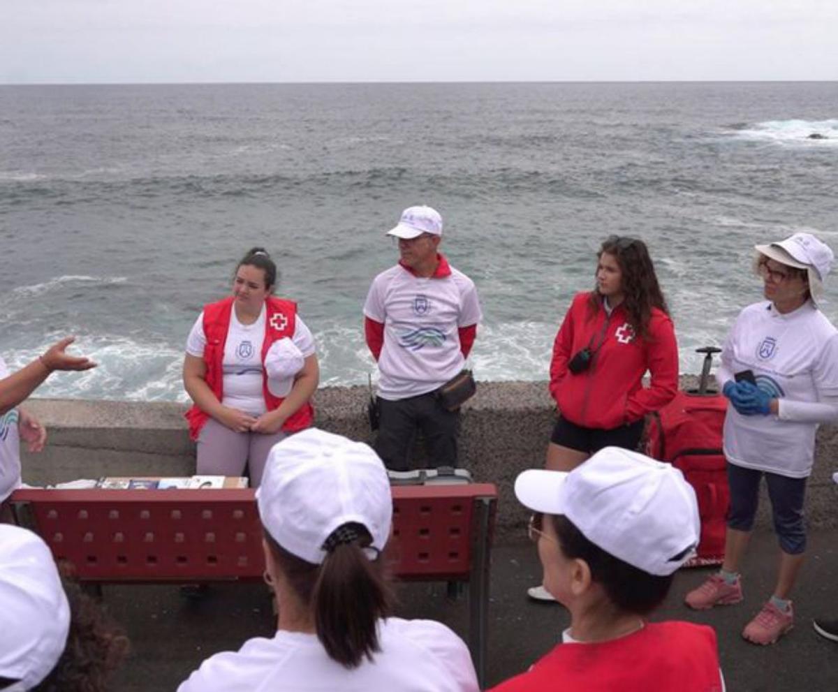 Las actividades se desarrollaron en 22 municipios de la Isla | ED / LOT