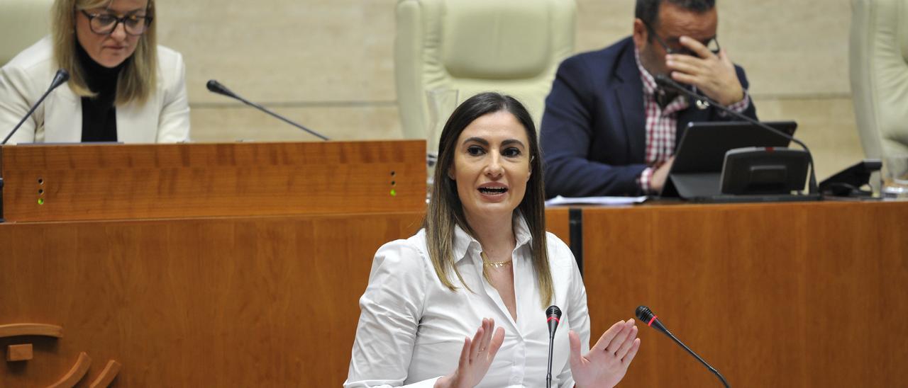 La portavoz socialista, Lara Garlito, en la tribuna de la Asamblea.