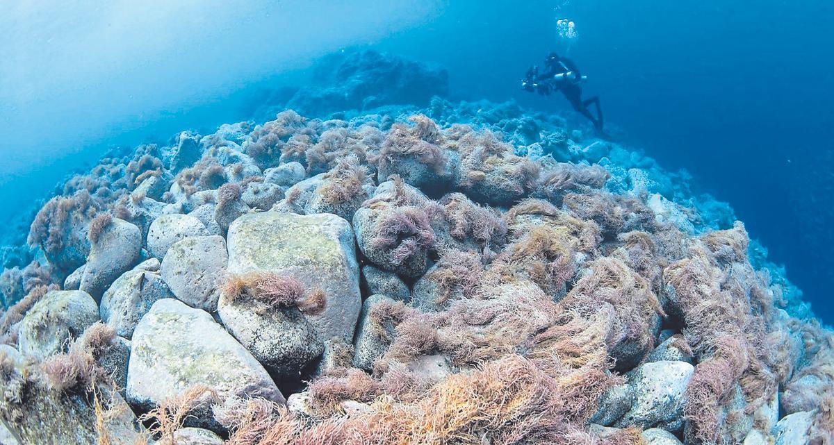 Un buzo fotografía una de las formaciones del volcán Tajogaite colonizada por las algas