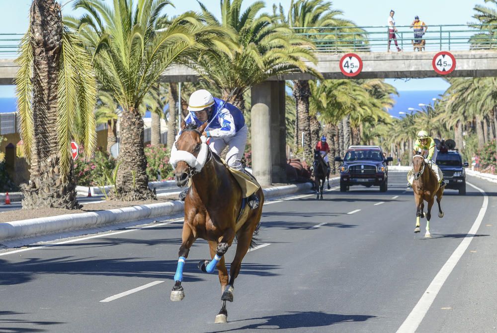 23/06/2018 TELDE. Carreras de caballos fiestas ...