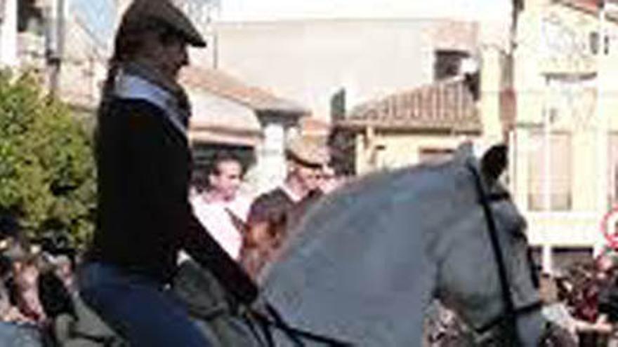 Alginet se sumerge en las fiestas de Sant Antoni con la bendición de animales